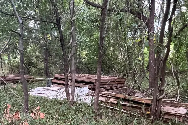 Affordable Landscape Contractor