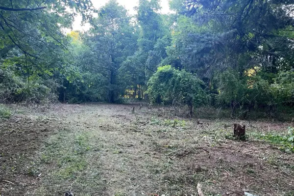 Experienced Landscape Contractor