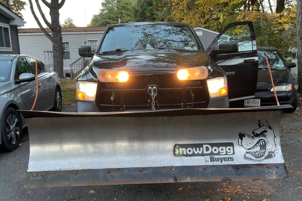 Professional Landscape Contractor