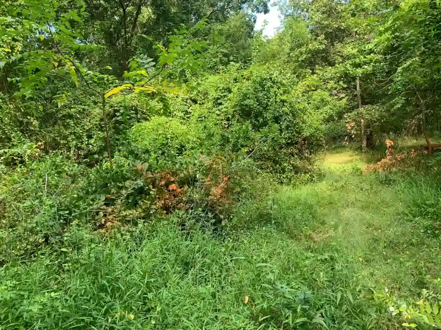 Professional Landscaper