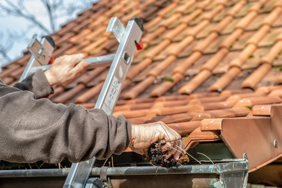 How Gutter Cleaning Protects Your Landscaping Investment Bloomingburg, NY