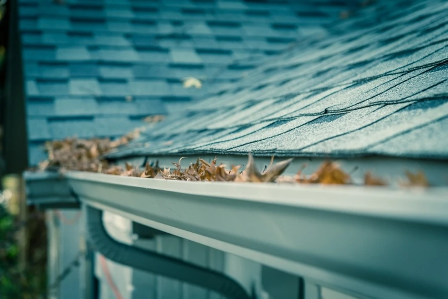How Gutter Cleaning Protects Your Landscaping Investment in Bloomingburg, NY