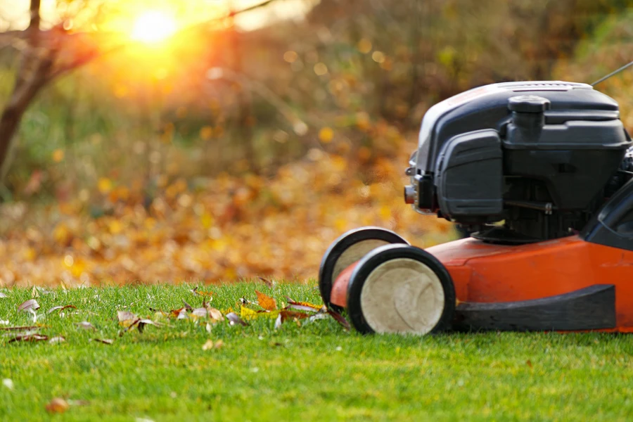 How Lawn Care Services Keep Your Yard Healthy Year-round in Bloomingburg, NY