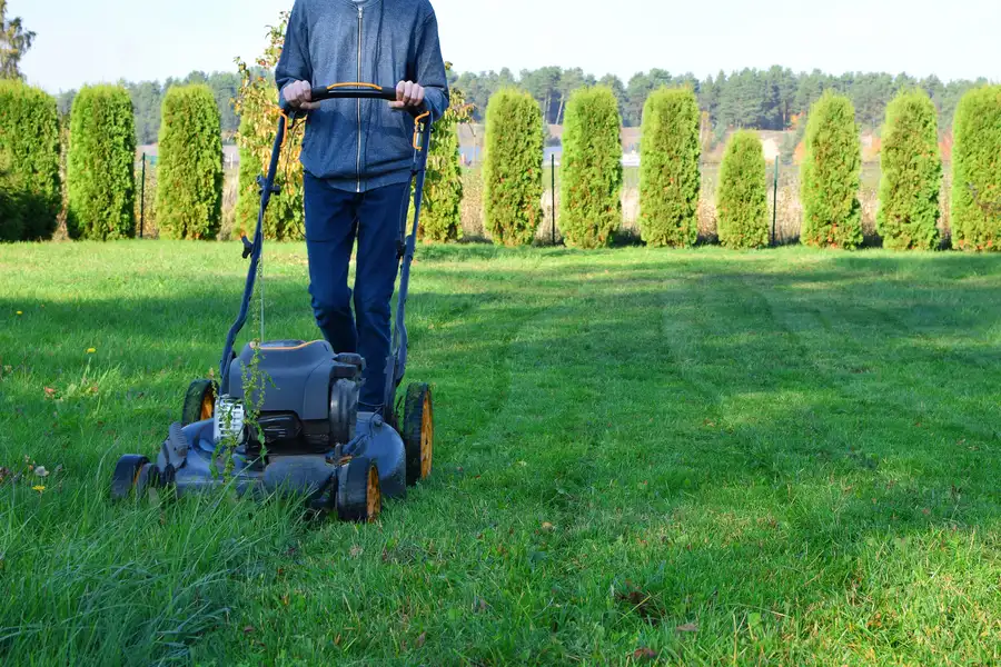 The Importance Of Lawn Mowing In Preventing Weed Overgrowth Bloomingburg, NY