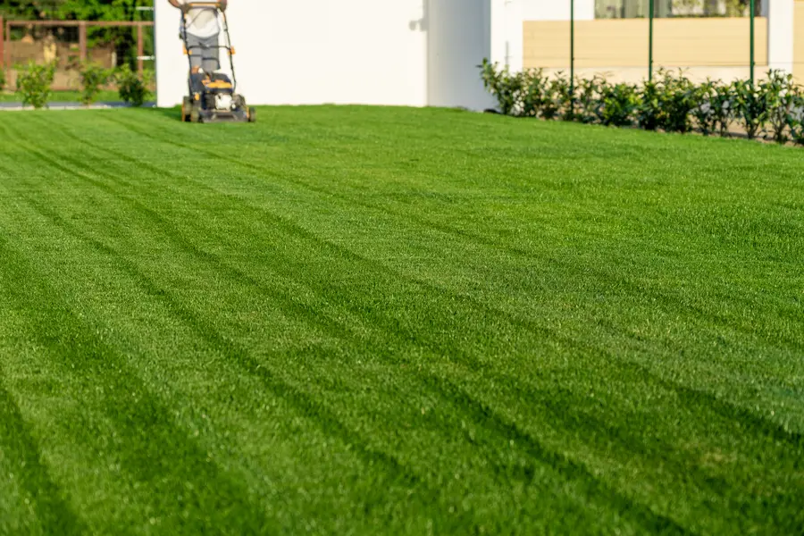 The Importance Of Lawn Mowing In Preventing Weed Overgrowth in Bloomingburg, NY