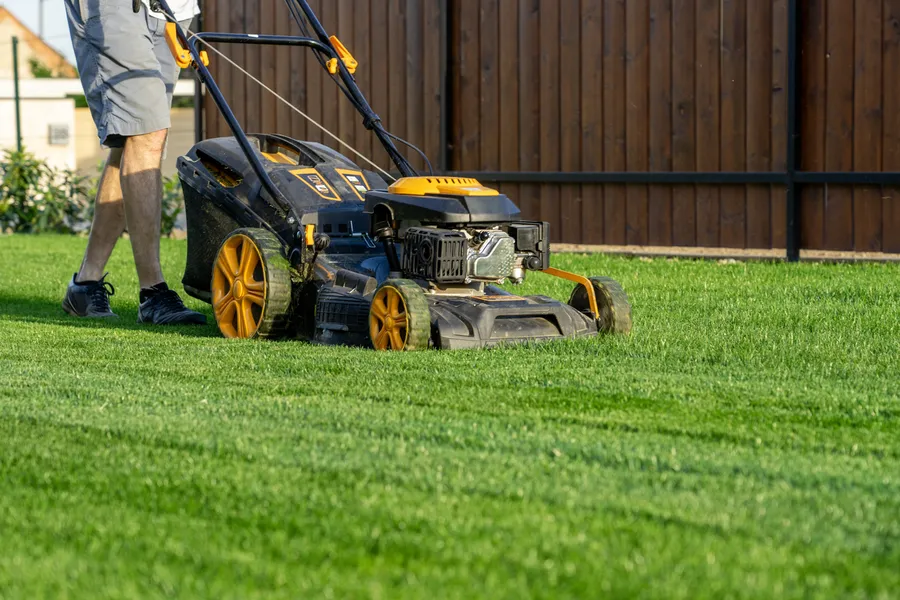 What To Expect From A Professional Lawn Mowing Service Bloomingburg, NY What To Expect From A Professional Lawn Mowing Service Bloomingburg, NY