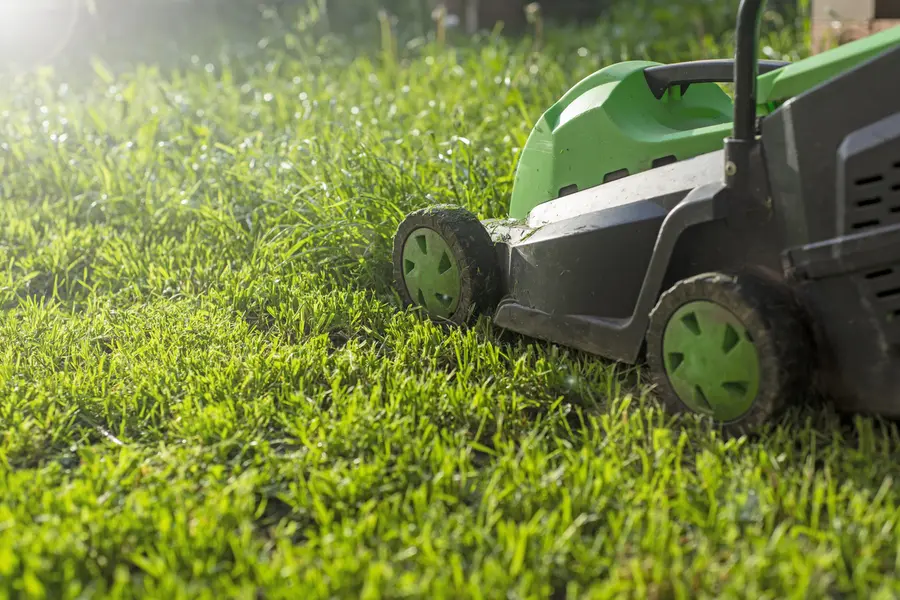 What To Expect From A Professional Lawn Mowing Service in Bloomingburg, NY What To Expect From A Professional Lawn Mowing Service in Bloomingburg, NY